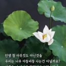 11월 22일 (수요일) 아침인사~ 이미지