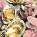 해물포차 이미지