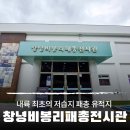 창녕비봉리패총전시관 | 내륙 최초의 저습지 패총 유적지 창녕 비봉리 패총전시관