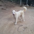 자룡농장 이미지