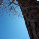 마라나타헤어 이미지