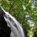 수도녹색숲모티길 이미지