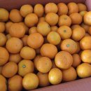 트로피컬리퍼블릭(주) | 3불템 추천상품 좋다 면세점!!!