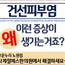 사계절에스한의원 이미지