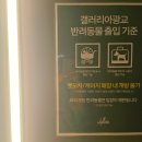 스타켄넬 | [광교 갤러리아]썸머펫스타 방문후기/ 브랜드할인 그리고 이벤트