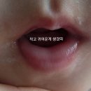 별샘어린이집 | 26년 5월,8개월, 어린이집 첫 등원! 과 밥테기