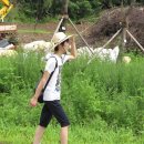 동음1리 이미지