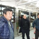 고창초등학교 Daum카페