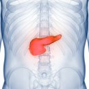 명성초등학교내 이미지