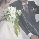 플레르바인 이미지