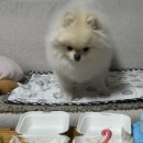 견식도락 부산시청점 이미지