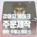 푸플리 케이크 | 개린이날 기념! 동탄강아지케이크 푸플리케이크에서 강아지수제케이크 주문제작한 후기