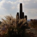 포니랜드 이미지