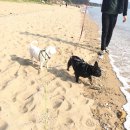 이창훈 동물병원 이미지