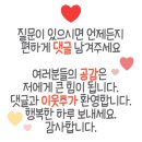 산호대로-2 이미지