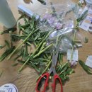 6232 | W13. 추가금 없는 10만원대 정찰제 본식 부케 굿무드 플라워 계약 후기 + 짝꿍 구해요 (희민6232)