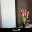 정아네분식 - 사상구 새벽시장로 56 | 정아네분식