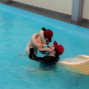 C9 | [괴산] 2026년 첫 캠핑! 아이가 더 좋아하는 '따봄스테이' 2박 3일 솔직 후기 (온수풀/C9사이트)