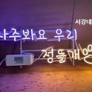 정들개 이미지