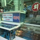 광해수산 | 광해수산 신월동 횟집 푸짐했던 세트메뉴 후기