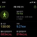 부산기장점 굽네치킨