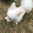 시드니펜션 이미지