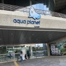 장수푸른어린이집 | 36개월미만 아기랑 고양 해양테마파크 즐기기, 아쿠아플라넷 일산 방문기