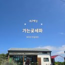 세화14길 | 제주맛집 가는곶세화 제주빵맛집 내돈내산 추천 후기