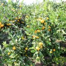 돈내코펜션 이미지