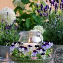 별,바람,꽃길 이미지