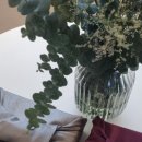 최동훈한의원 이미지