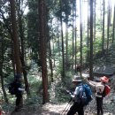 블랙야크지정 100대 명산인 장성 축령산(621.6m) 등산 후기(2018.06.24.) 이미지