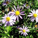 다 보이는 세상 이미지