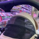 롯데마트 울산점 앞 이미지