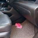 준디테일링 이미지