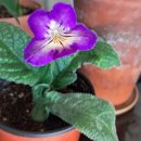 그냥거기 이미지