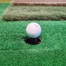 파워스크린 골프연습장 이미지