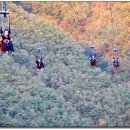 아리힐스(짚와이어) 이미지