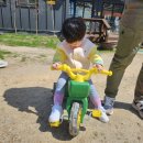 강민목장 이미지