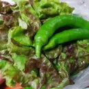 도야족발 이미지