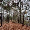 (초월역)~안산~무갑산~뒷골산~소리봉~앵자봉~양자산~(양평역) 31.6km 이미지