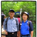 산울림 이미지