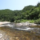 1359펜션 이미지