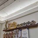 올데이PT 레이디 이미지