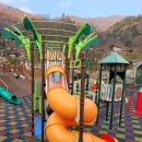 솔향기둥지 이미지