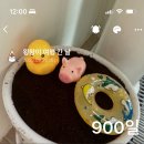 온다, 봄이 꽃차바리스타 | 액상과당 끊는 법 알려주실 분...