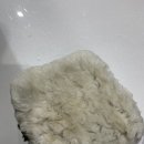 워시코리아 이미지