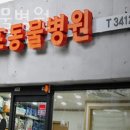 개포동물병원 | 강남구 개포동 동물병원 개포동물병원 진료시간 접근성 이용후기