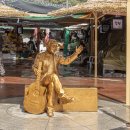 화개농원 이미지