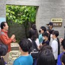 평창 우통수 이미지